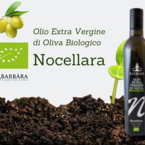 nocellara